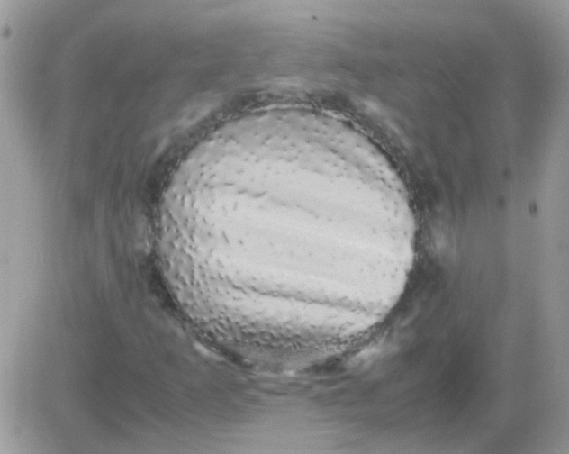 X0000081351253200701251915