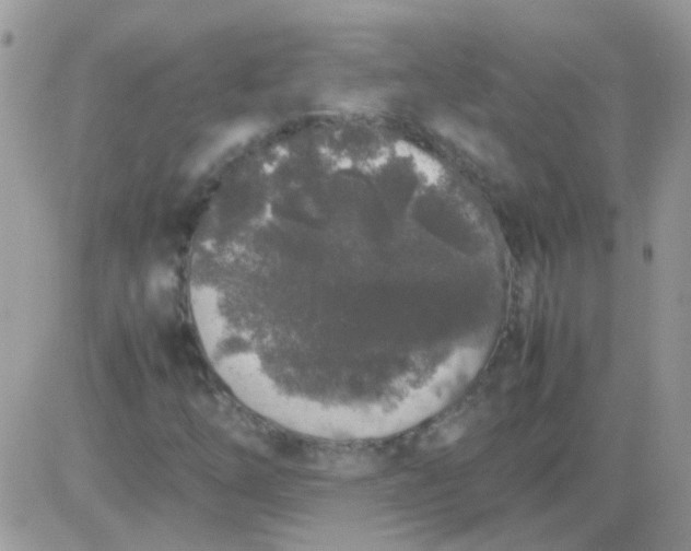 X0000081351254200701251915