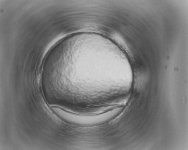 X0000081351284200701251915