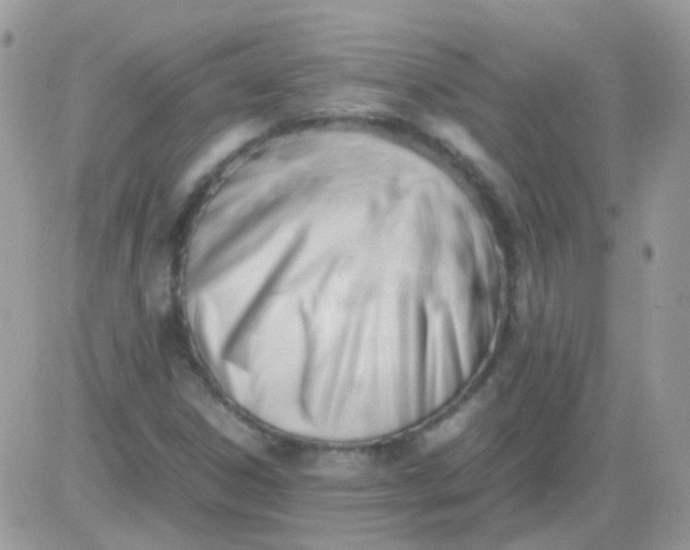 X0000081351306200701251914