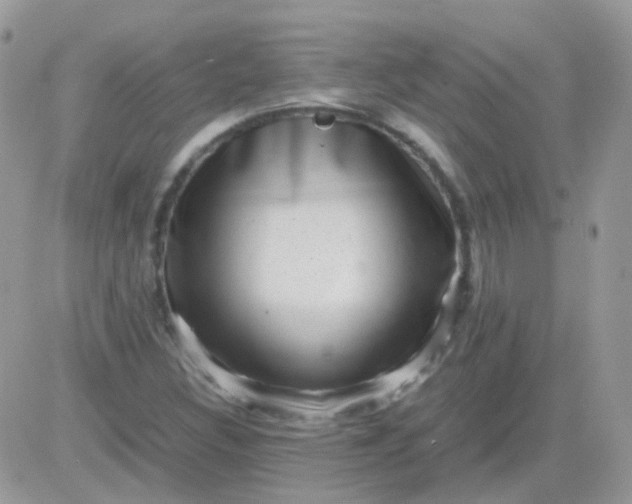 X0000081351308200701251914