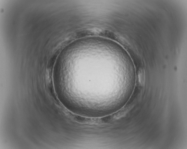 X0000081351347200701251914