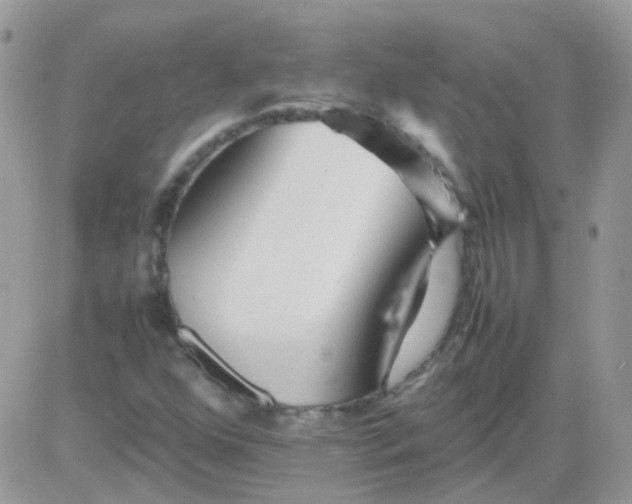 X0000081351352200701251913