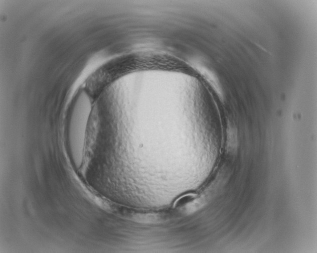 X0000081351376200701251913