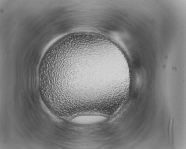X0000081351380200701251913