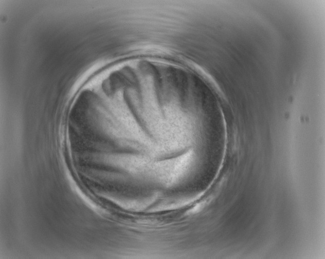 X0000081351383200701251913