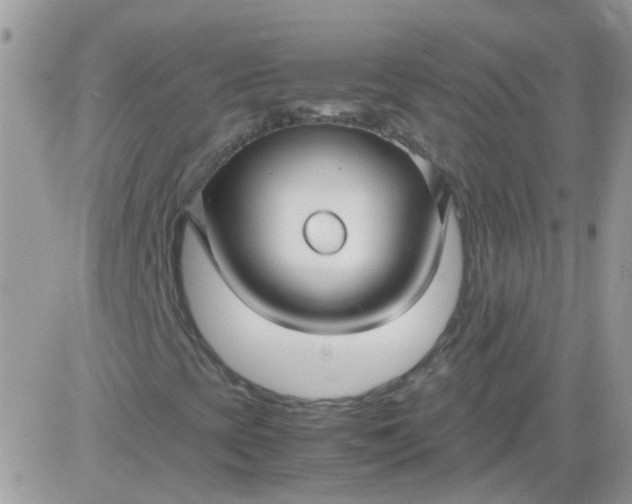 X0000081351393200701251912
