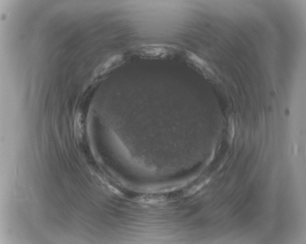 X0000081351394200701251912