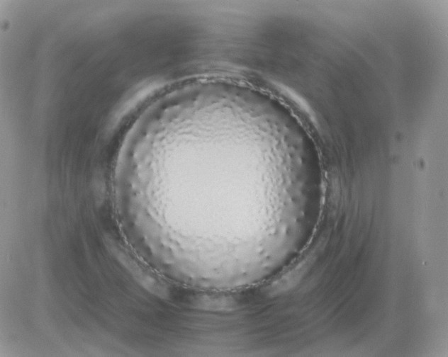 X0000081351407200701251912