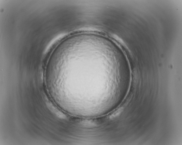 X0000081351408200701251912