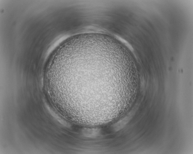 X0000081351415200701251912
