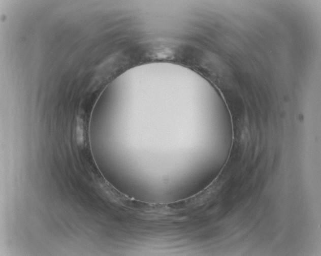 X0000081351442200701251912