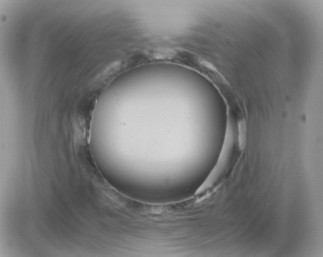 X0000081351443200701251912