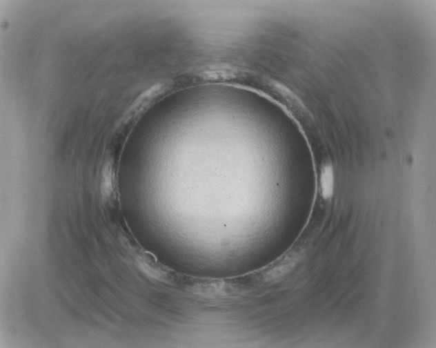 X0000081351444200701251912