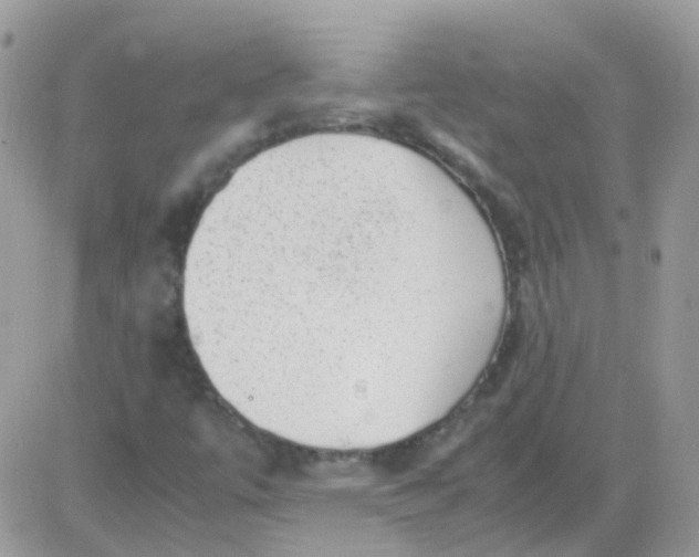 X0000081351447200701251912