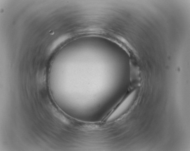 X0000081351450200701251912