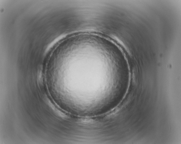 X0000081351452200701251912