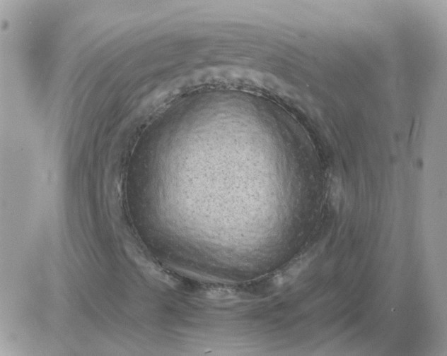 X0000081351489200701251910