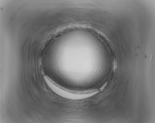 X0000081351492200701251911