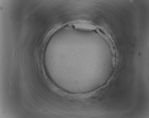 X0000081350001200702020126