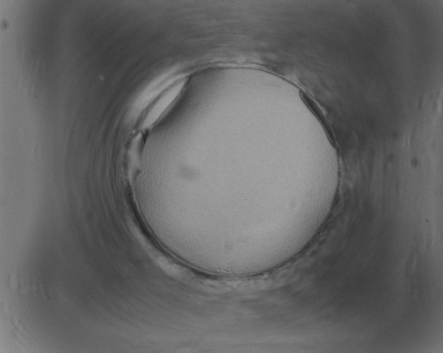 X0000081350005200702020126