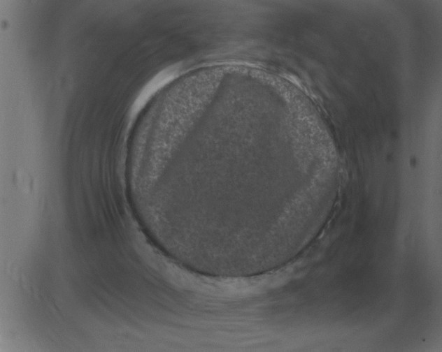 X0000081350006200702020126