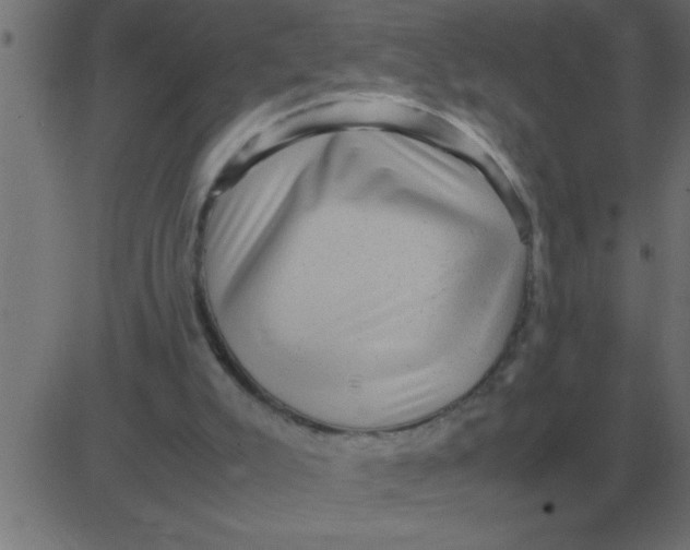 X0000081350007200702020126