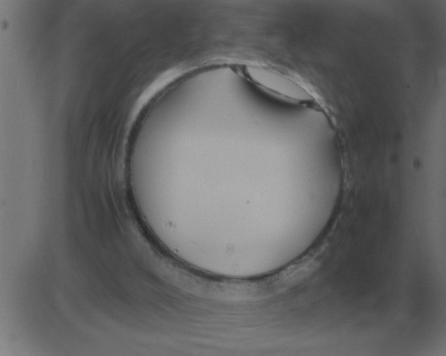 X0000081350008200702020126