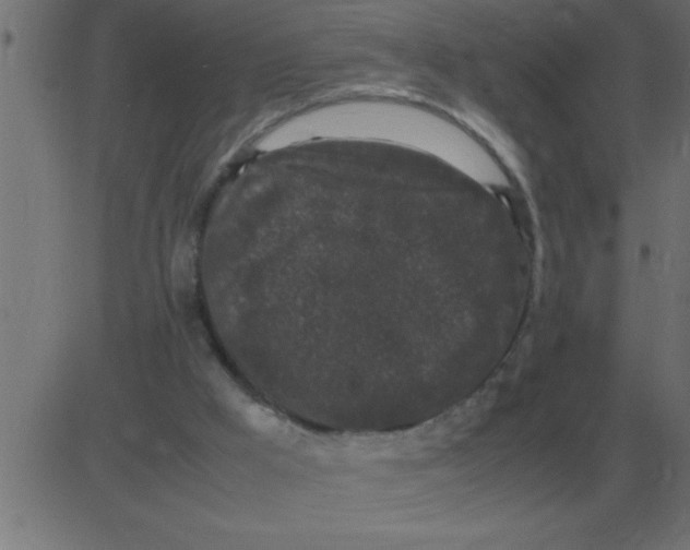 X0000081350009200702020126