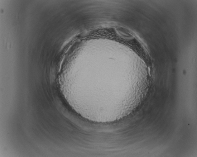 X0000081350010200702020126