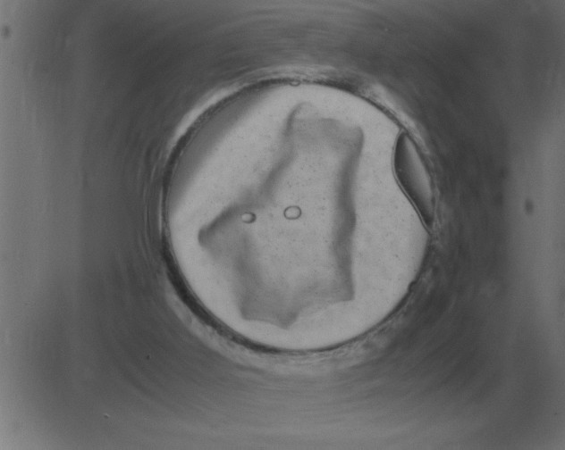 X0000081350011200702020126