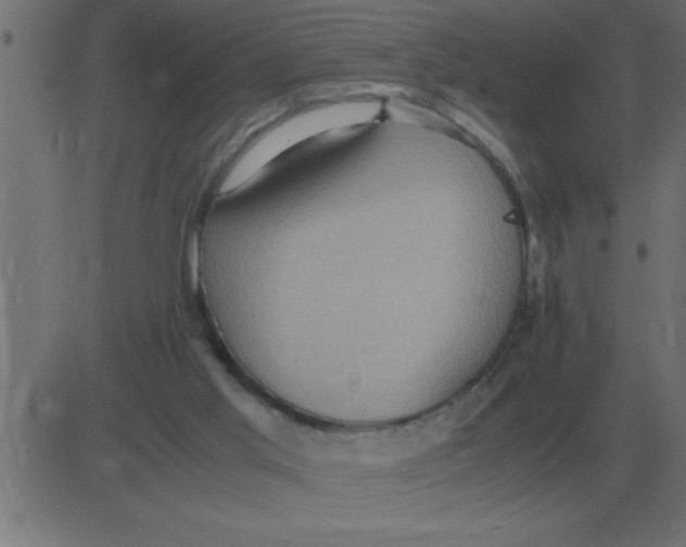 X0000081350013200702020126