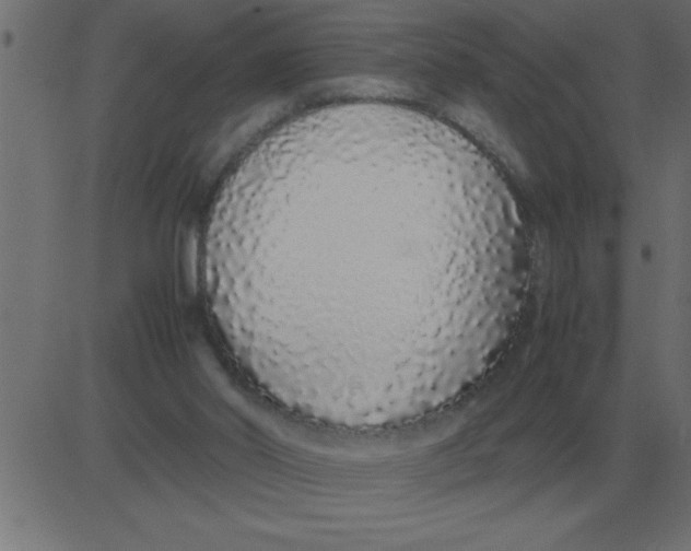 X0000081350014200702020126