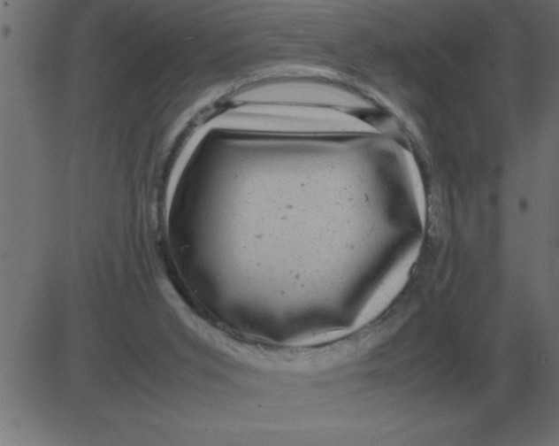 X0000081350015200702020126