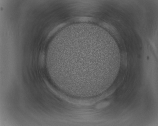 X0000081350016200702020126