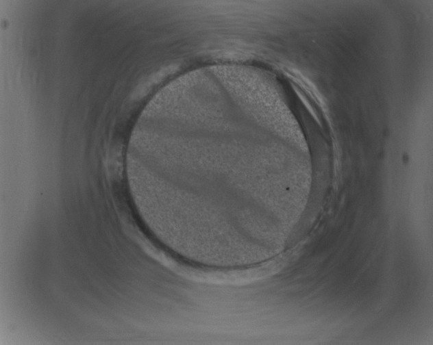 X0000081350017200702020126