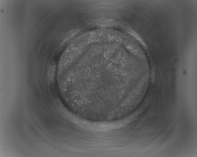 X0000081350018200702020126