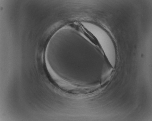 X0000081350019200702020126