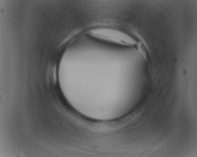 X0000081350020200702020126