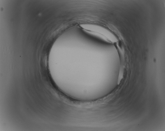 X0000081350021200702020126