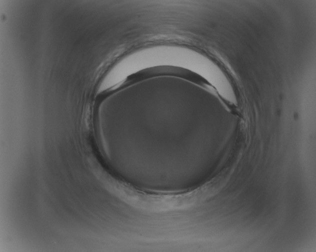 X0000081350023200702020126