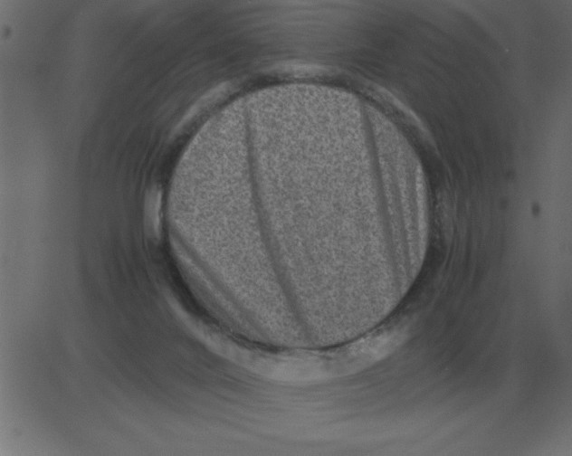 X0000081350024200702020126