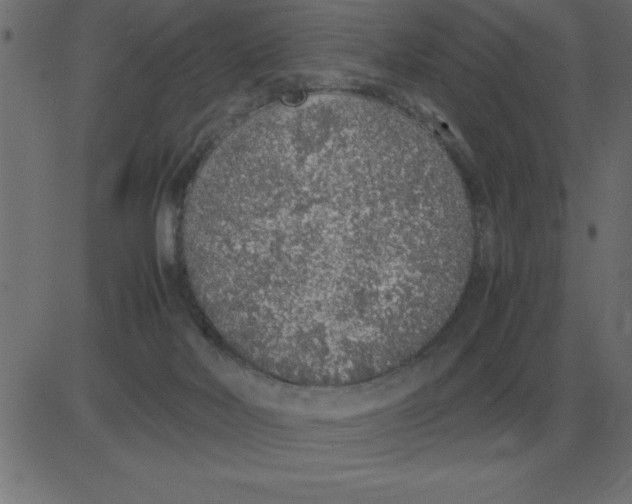 X0000081350026200702020126