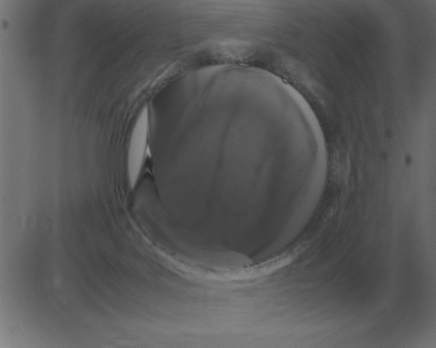 X0000081350027200702020126