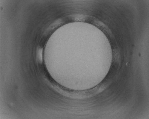 X0000081350028200702020126