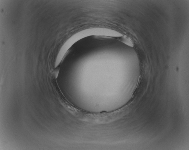 X0000081350033200702020125