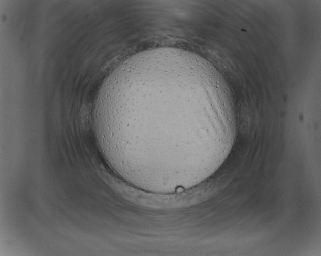 X0000081350034200702020125