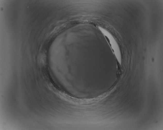 X0000081350035200702020125