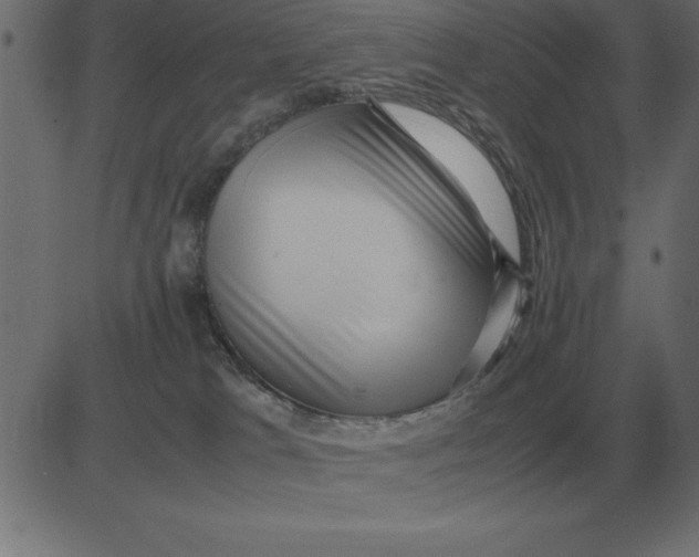 X0000081350037200702020125