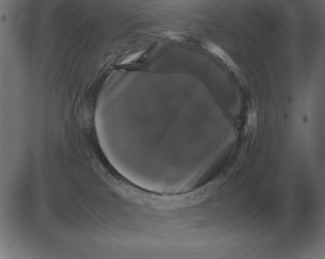 X0000081350039200702020125